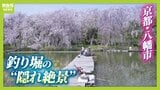 にぎやかな公園を抜けた先…釣り堀にひっそり咲く「満開の枝垂れ桜」　京都・八幡市の隠れ絶景【写真記事】　|　MBSニュース | 関西の最新ニュースを分かりやすく。