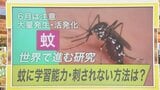 「蚊」6月は大量発生に要注意 “刺されない方法”とは?専門家が解説【ひるおび】|TBS NEWS DIG