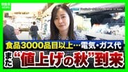 【野菜が高い】レタス1玉486円？10月から3153品目が値上げ…スーパー社長に聞いた「今安い2品」とは？知っておきたいお金の話『電気ガス』『106万円の壁』など【解説】　|　MBSニュース | 関西の最新ニュースを分かりやすく。