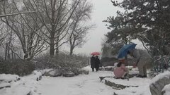 中国・北京で大雪　空の便700便以上欠航　休校など市民生活に影響| TBS CROSS DIG with Bloomberg