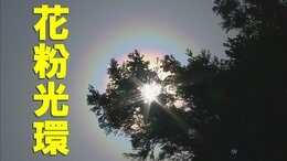 東北730％ 北海道420％ 花粉が去年より大量? 飛散ピークに現れる“おぞましい虹”の正体|TBS NEWS DIG