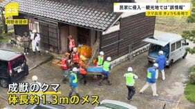 富山で民家の物置にクマ侵入→緊急銃猟で駆除 観光地ではクマめぐる“誤情報”も…目撃されたのはクマではなく“ニホンカモシカ”【news23】|TBS NEWS DIG