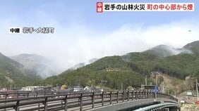 発生5日目　岩手・大槌町の山林火災　町の中心部から煙　人員合わせて1400人以上に増やして消火活動続く|TBS NEWS DIG