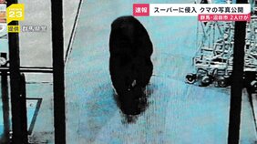 群馬・沼田市にスーパーにクマ侵入&nbsp;写真公開　70代男性客など2人が襲われけが&nbsp;命に別状なし|TBS NEWS DIG
