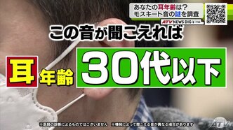 あなたの耳年齢は？若者にしか聞こえない“モスキート音”の謎　ナゼ聞こえなくなるのか調査|TBS NEWS DIG