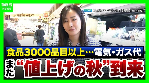 【野菜が高い】レタス1玉486円？10月から3153品目が値上げ…スーパー社長に聞いた「今安い2品」とは？知っておきたいお金の話『電気ガス』『106万円の壁』など【解説】　|　MBSニュース | 関西の最新ニュースを分かりやすく。