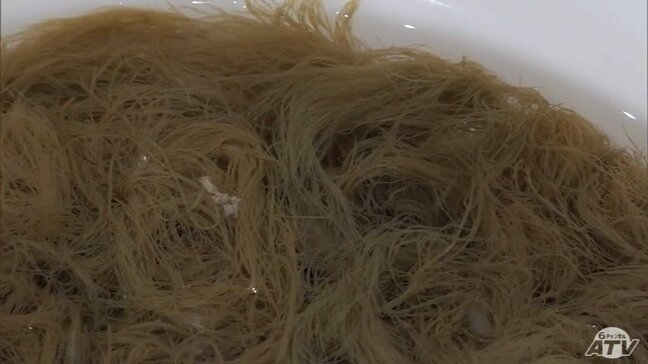 「海藻入りの海水」を使い発電 高校が取り組む『海洋エネルギー研究』に村の海藻『ケウルシグサ』を活用 青森県「むつ工業高校」と「風間浦村」が連携協定|TBS NEWS DIG
