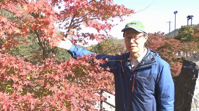 西村気象予報士が紅葉狩り 見頃迎える長門峡で「気分が高揚」 山口県内は20日“この秋一番の冷え込み”に|TBS NEWS DIG