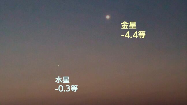 水星が見やスイセ～！見るのが難しい惑星・水星が、春がすみの中で見えた！？|TBS NEWS DIG