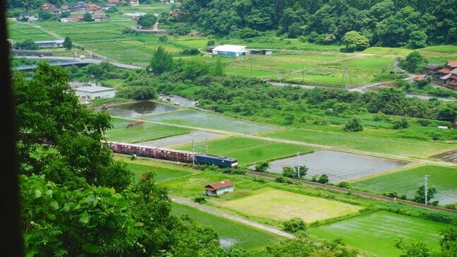 JR伯備線で定期貨物列車を引く国鉄型電気機関車、愛称は“山男”　片道5時間、300トンの貨物を引き鳥取と岡山を1日3往復　鉄ちゃん記者が特別に乗車させてもらうと…「機関車のモーター音が…」製造から約50年…引退は？後継は？|TBS NEWS DIG