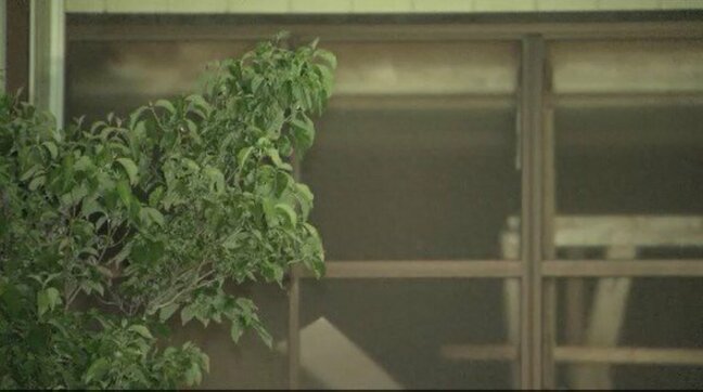 妻を木製バットで殴って殺害した疑いで逮捕…長野・天龍村の88歳男が刑事責任能力調べるため鑑定留置へ|TBS NEWS DIG