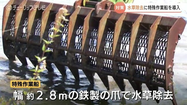 水草の大量発生に備え “根本対策” …憩いの場「富岩運河環水公園」特殊作業船で根こそぎ除去へ　富山|TBS NEWS DIG
