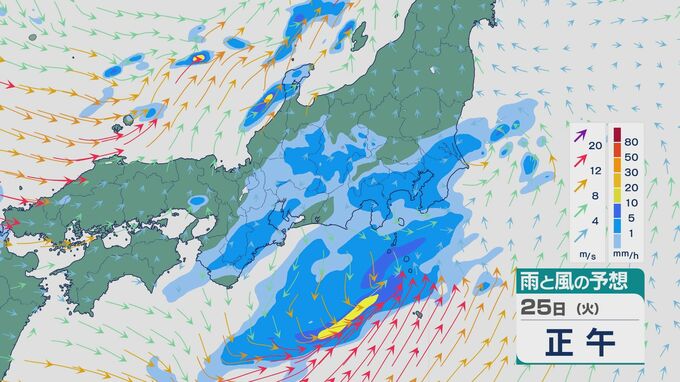 日本海と太平洋 “2つの低気圧”と“上空の強い寒気”で西日本から北日本まで大気の状態非常に不安定になり荒れる天気のところも 落雷や急な強い雨に注意を 雨と風シミュレーション|TBS NEWS DIG
