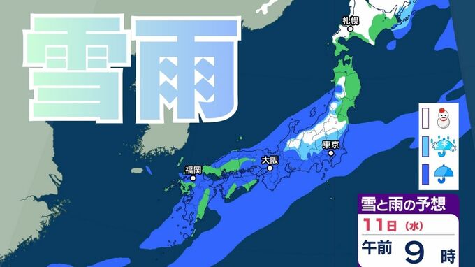 【今後の雪雨どうなる？】あす11日（祝）全国的に雨模様　太平洋側で雨が強まる場所も　10日（木）～16日（月）3時間ごとの雪雨シミュレーション【気象庁　10日午後10時更新】|TBS NEWS DIG