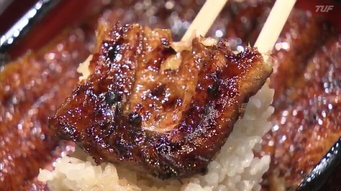 暑い夏を乗り切れ！栄養たっぷり、ウナギは意外と獰猛…？【市場で旬みっけ！】　|　福島のニュース│TUF