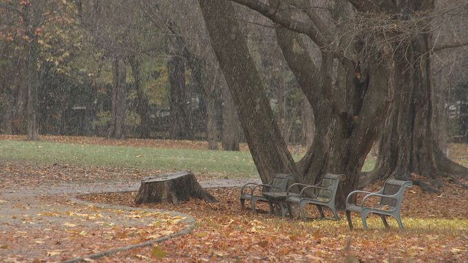 速報　札幌・円山公園の全面閉鎖を解除　2週間ぶりに利用可能に　周辺にヒグマ出没で11日から閉鎖　札幌市|TBS NEWS DIG