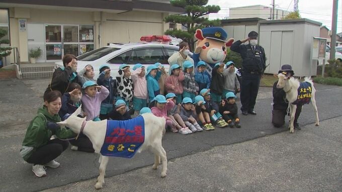 「飛び出しちゃだメェー」ヤギさんに見守られ交通安全学ぶ　鳥取県鳥取市|TBS NEWS DIG