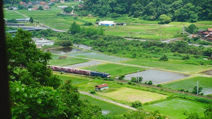 JR伯備線で定期貨物列車を引く国鉄型電気機関車、愛称は“山男”　片道5時間、300トンの貨物を引き鳥取と岡山を1日3往復　鉄ちゃん記者が特別に乗車させてもらうと…「機関車のモーター音が…」製造から約50年…引退は？後継は？|TBS NEWS DIG