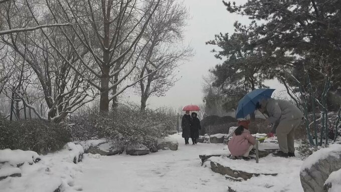 中国・北京で大雪　空の便700便以上欠航　休校など市民生活に影響|TBS NEWS DIG