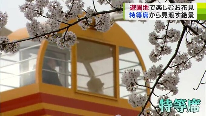 ジェットコースターでも…観覧車でも…『桜』　遊園地の“特等席”から桜を楽しめる絶景スポットとは！？　|　青森のニュース│ATV NEWS│青森テレビ