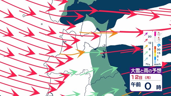 【大雪情報】三連休（10・11・12日）は「警報級の大雪」か…　津軽と三八上北の山沿いで50cm、津軽の平地で30cmなど降雪予想　JR奥羽本線は大雪・倒木の影響で明日10日も運転見合わせ続く　大雪・雨・風のシミュレーションあり|TBS NEWS DIG