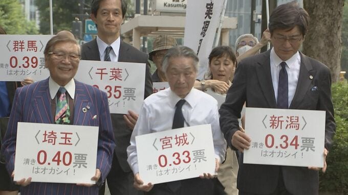 「1票の格差」が最大3.13倍　参院選の無効求め弁護士グループが全国で提訴|TBS NEWS DIG
