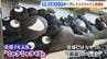 ミャクミャク人気は健在！大阪・関西万博オフィシャルストアが高島屋に再オープン「黒色バージョン」のミャクミャクぬいぐるみくじはすでに受付終了　|　MBSニュース | 関西の最新ニュースを分かりやすく。