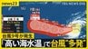 台風9号が発生…今後の進路は？ 今シーズン台風“多発”の背景に「高い海水温」“スーパーエルニーニョ”になる可能性も　九州5県で線状降水帯【news23】|TBS NEWS DIG