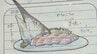 『うまくカジキをかいて』描いた絵は…？　水族館の掲示板がSNSで話題　来館者数は去年の1.6倍に　山梨・県立富士湧水の里水族館　|　山梨のニュース | ＵＴＹテレビ山梨