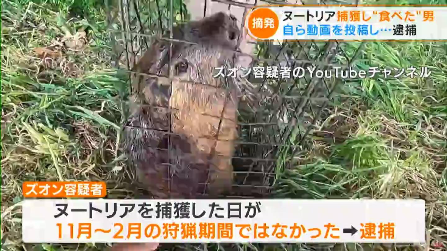 ヌートリアを 食べた 男 なぜ逮捕された 捕獲して調理し食べる様子をyoutubeに投稿 それが決め手に 愛知 Tbs News Dig 1ページ