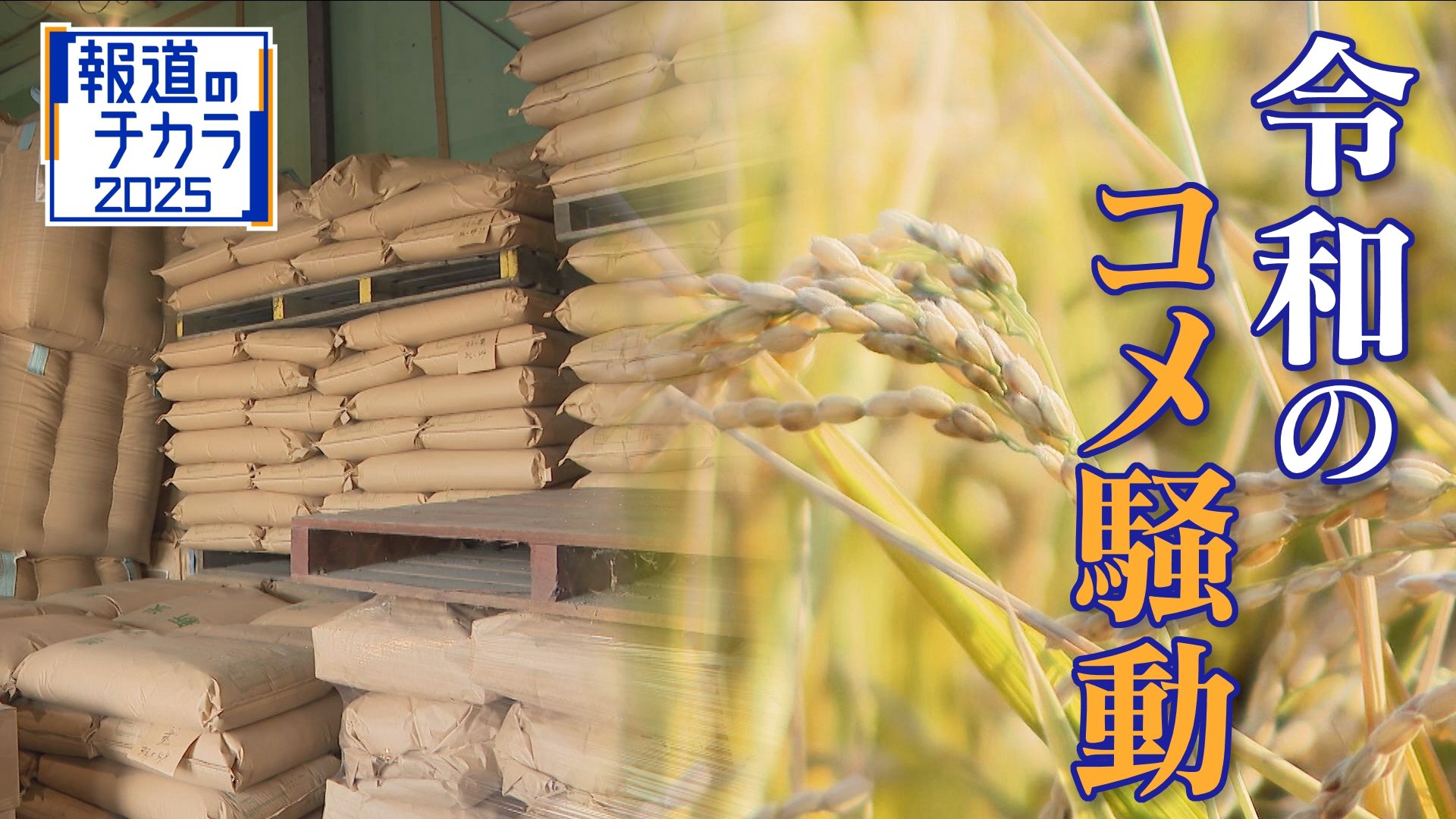 令和のコメ騒動” 終わらない価格高騰… 国は介入すべき？ 価格安定は
