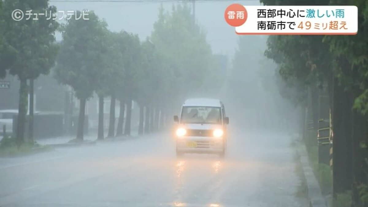 西部中心に激しい雨…南砺市で49mm超 あいの風とやま鉄道とJR城端線で