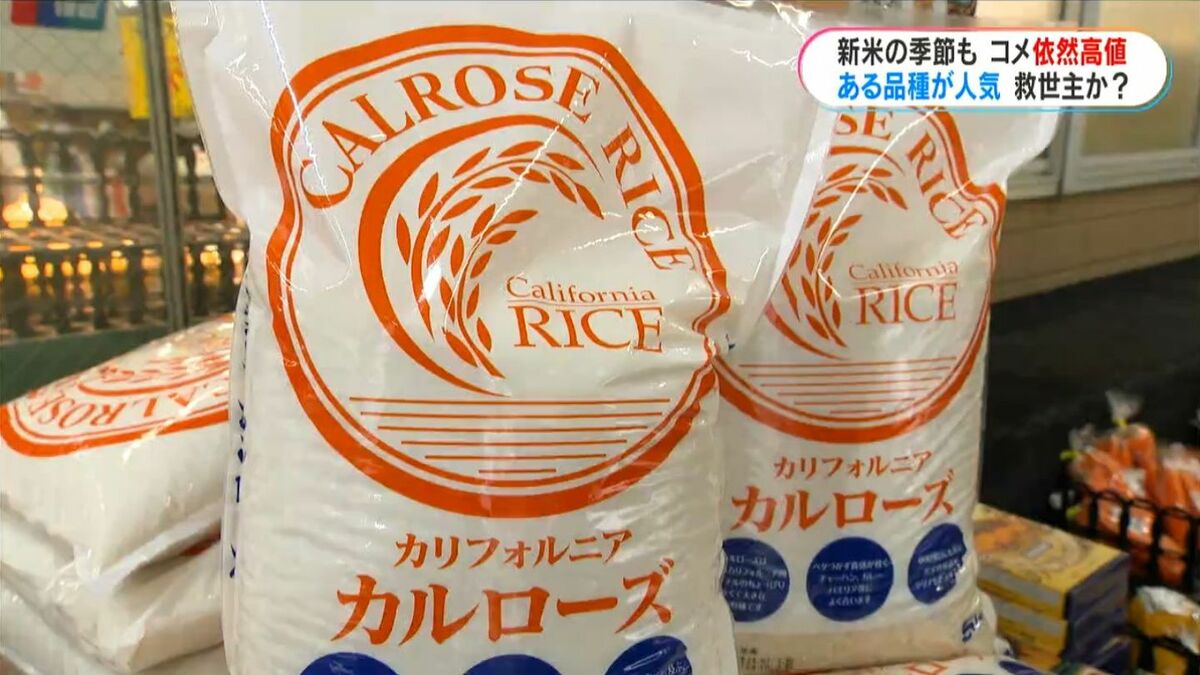 S♡SHOP様専用 山形県産 ピロール米 コシヒカリ 玄米20kg 【公式通販】