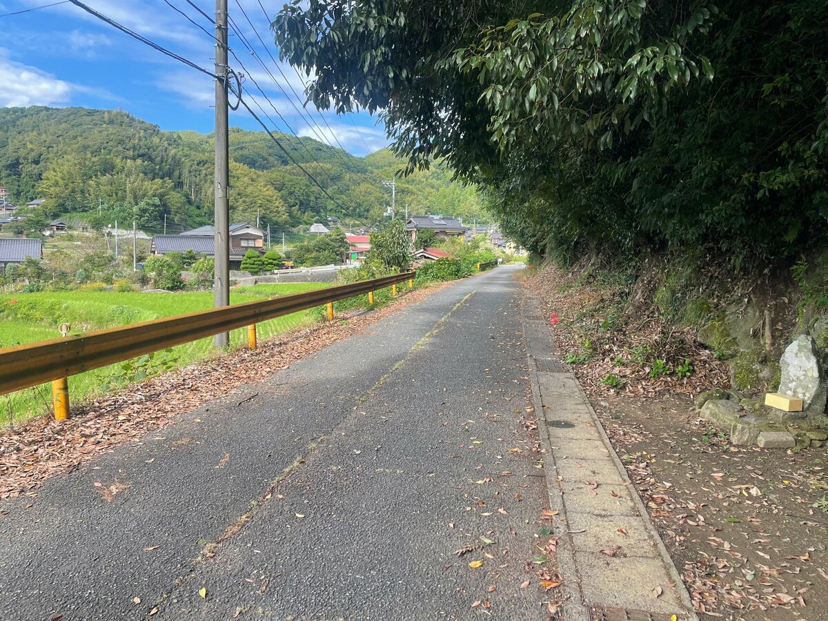 残念かいぎゅう カワサキzx14r zzr1400用 Brock's Performance