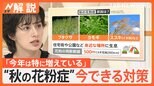 増えている秋の花粉症 原因は「猛暑とゲリラ豪雨」 今すぐできる対策は?【Nスタ解説】|TBS NEWS DIG