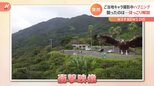 ご当地キャラPR動画撮影中に…「バズるチャンスで“すだち”」徳島県すだちくんのドローン襲撃⁉|TBS NEWS DIG