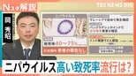 高い致死率「ニパウイルス」アジア各国で流行の懸念 ワクチン・特効薬なし…日本への流入リスクは?【Nスタ解説】|TBS NEWS DIG