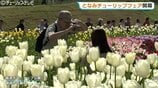 2026となみチューリップフェア開幕…350万本の絶景に感動！大花壇の地上絵など見どころいっぱいの春満喫　富山・砺波市　|　富山のニュース｜天気・防災｜チューリップテレビ