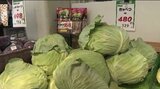 キャベツが「500円台」ブロッコリーも「400円近く」買い物客は「困った…！」青果店のおすすめは「レタス類」財布に厳しい野菜の高値は6月までの辛抱か…　|　SBC NEWS | 長野のニュース | SBC信越放送
