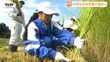 収穫するのは "ちょっと特別なコメ" 中学生が給食で食べるコメを手作業で収穫! 食を学ぶ以外にも狙いが!(山形・大江町) | 山形のニュース│TUYテレビユー山形