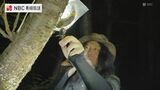 「昆虫採集は一番キャッチーな遊び」生物ライターによる昆虫観察会【長崎県対馬市】 | 長崎のニュース | 天気 | NBC長崎放送