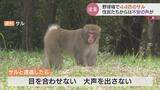 “サルの軍団” 44匹…野球場に出没　畑の野菜かじられ…やりたい放題に住民困惑　富山　|　富山のニュース｜天気・防災｜チューリップテレビ