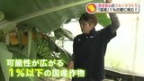 「同じ品種なら国産のほうがいい」バナナにグレープフルーツ　栽培困難な『シェア１％以下』の国産フルーツに挑戦する人たち　|　熊本のニュース｜RKK NEWS｜RKK熊本放送