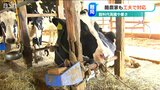 「今が限界という人がかなりいる」猛暑に電気代高騰 さらに飼料高騰… “三重苦”の酪農家が目指す新たな“地産地消”|TBS NEWS DIG