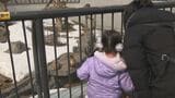 【春休み】札幌市円山動物園 アジアゾウやトラなどにくぎ付け「かわいかった」「とにかく行きたいと…」家族連れでにぎわう|TBS NEWS DIG