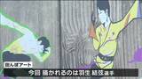 北京五輪の‟羽生結弦選手”出現 田植えでアート |TBS NEWS DIG