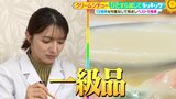 ひたすら試してランキング「クリームシチュー」イタリアンの達人が『今までと全然別物』と絶賛した１位は？ルーがすぐ溶ける『時短』が魅力の商品も！【ＭＢＳサタデープラス（サタプラ）】|TBS NEWS DIG