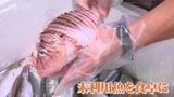 未利用魚をあえて店頭に…未来の漁業を見据えるある漁師の取り組み|TBS NEWS DIG