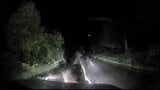 クマが車に飛びかかる瞬間をドラレコが記録 突然の出来事に「パニックになった」運転手は無事 付近は釣りスポットで警察が注意呼びかけ 北海道美深町 | 北海道のニュース|HBC北海道放送
