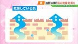 「実はまだまだ要注意」冬だけじゃない、春も“乾燥肌”対策を　|　福島のニュース│TUF
